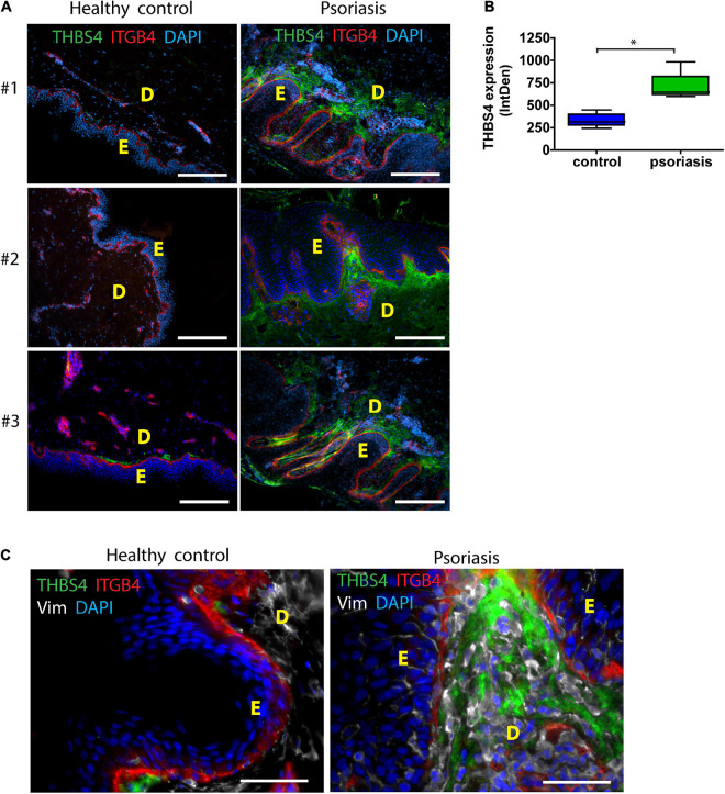 FIGURE 3