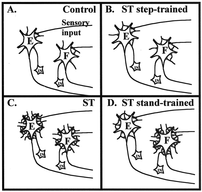 Fig. 12.