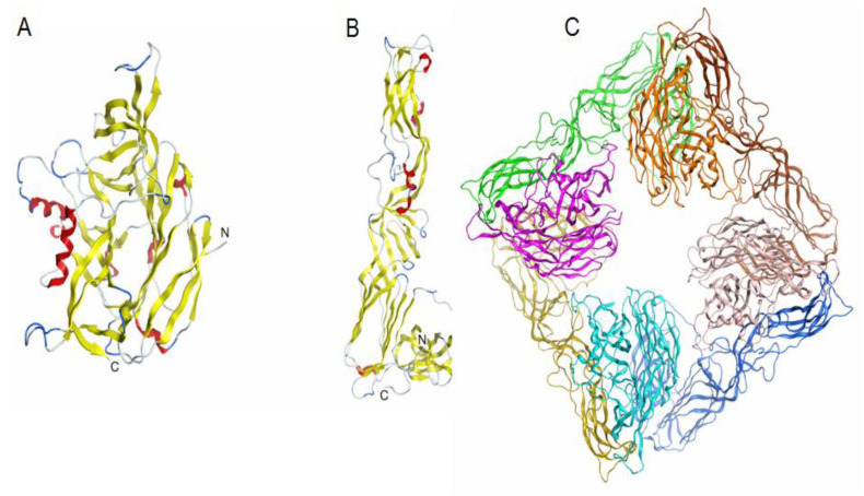 Figure 6