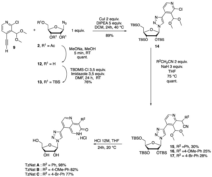 Scheme 6