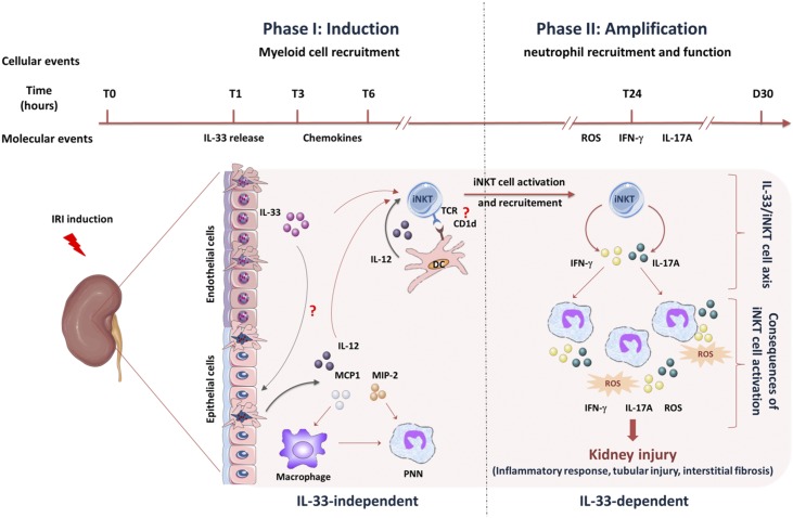 Figure 10.