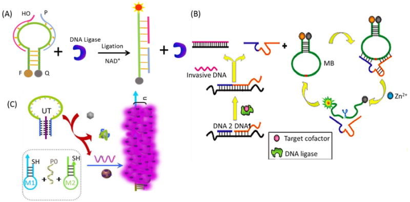 Figure 10