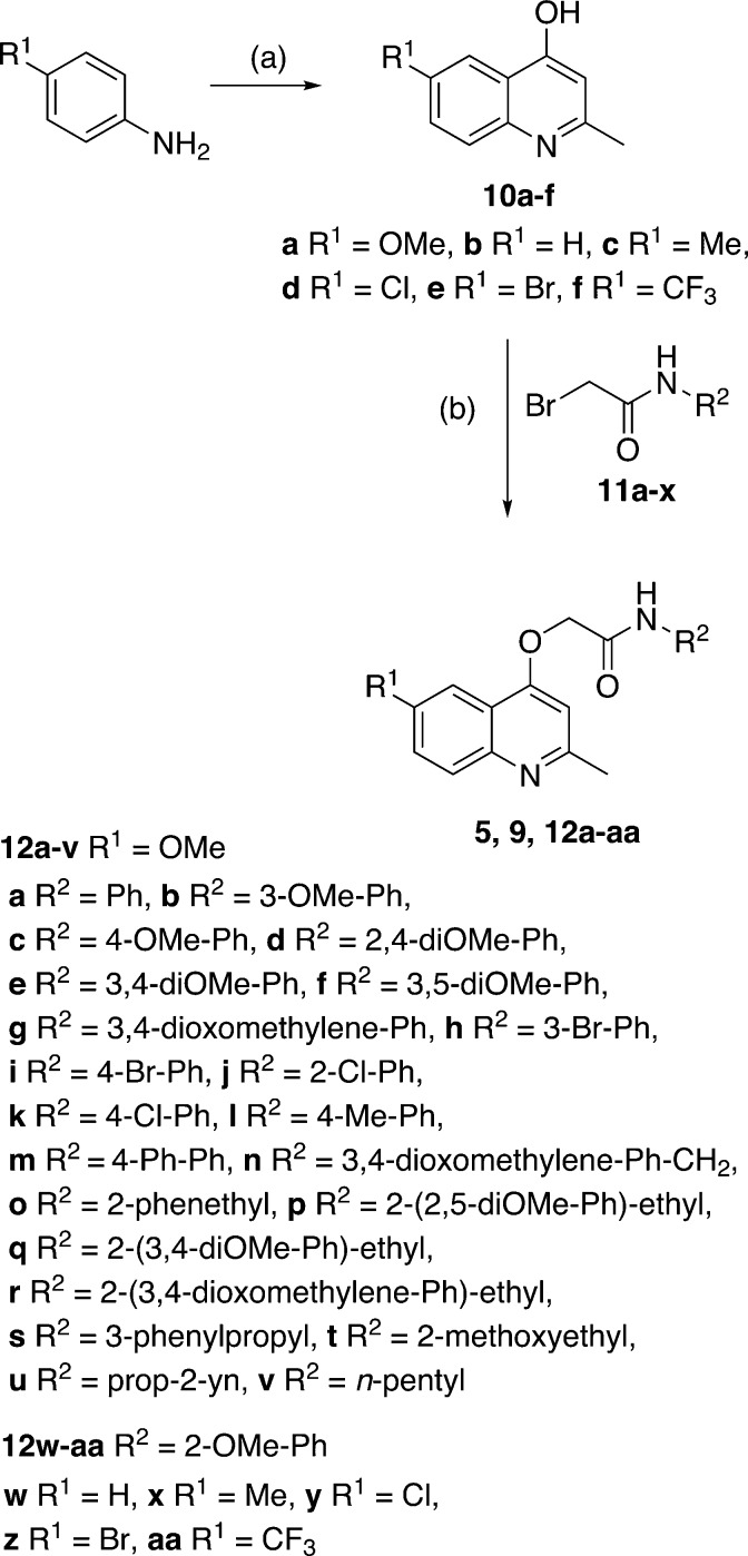 Scheme 1