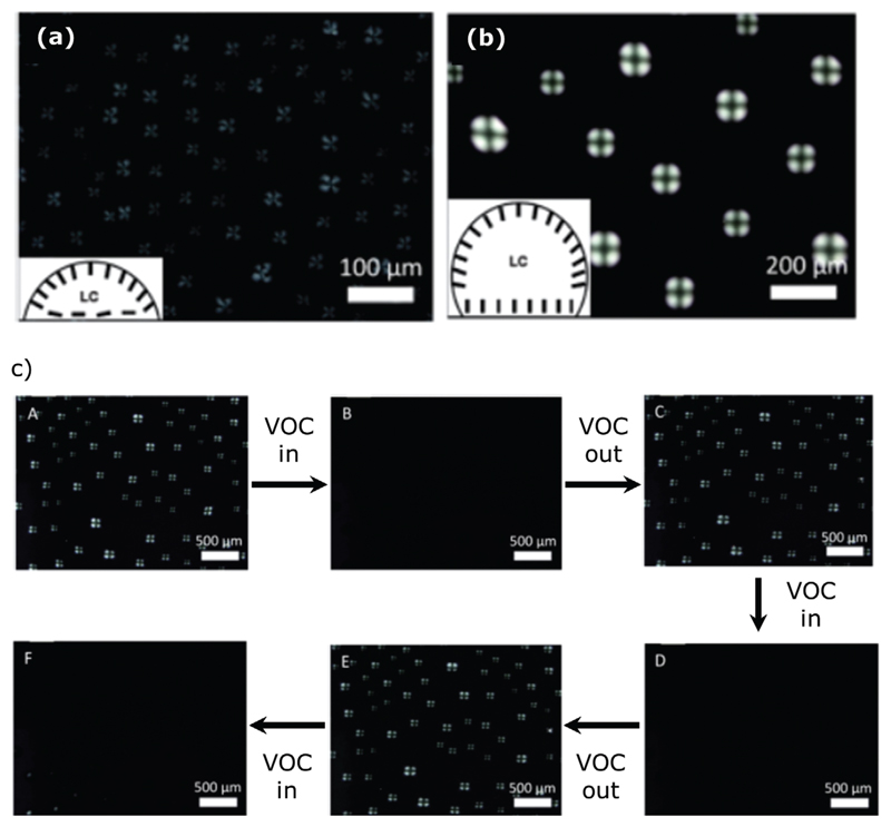 Figure 14