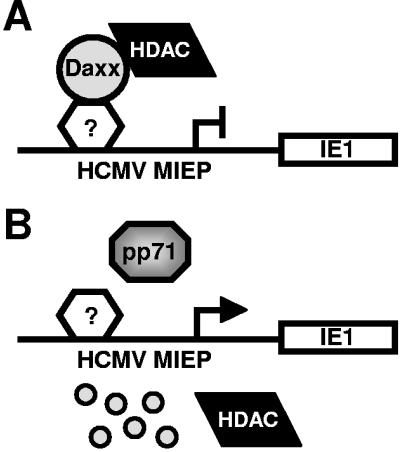 FIG. 8.