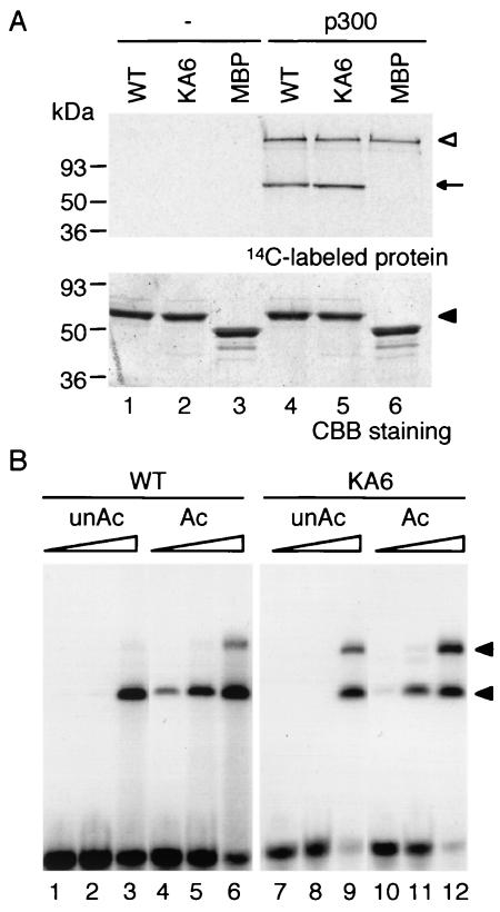 FIG. 7.