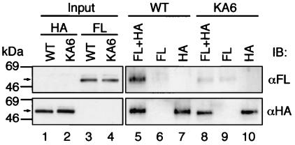 FIG. 8.