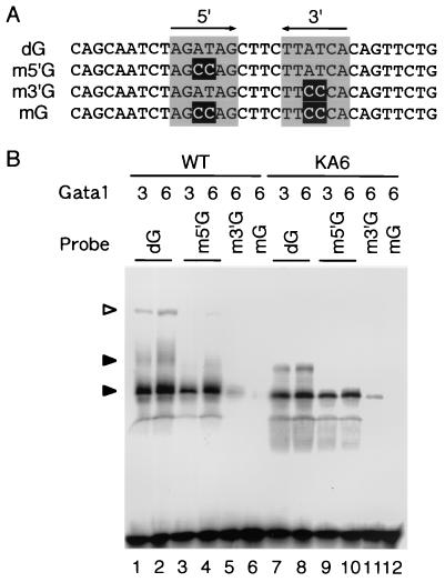 FIG. 9.