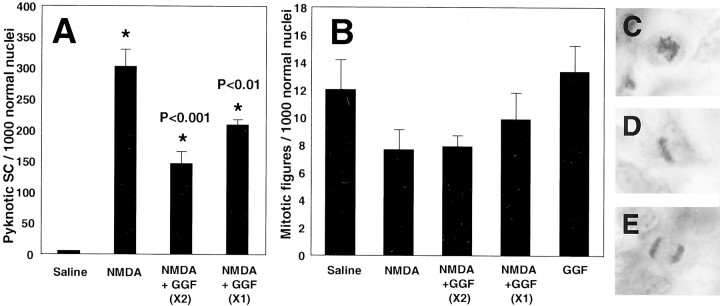 Fig. 10.