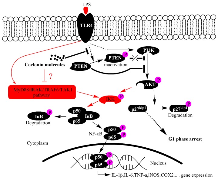 Figure 9