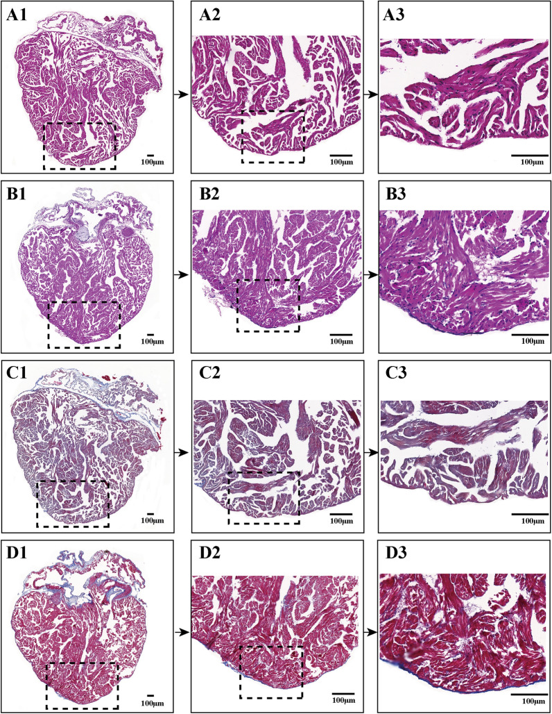 Fig. 6