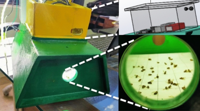 Fig. 3