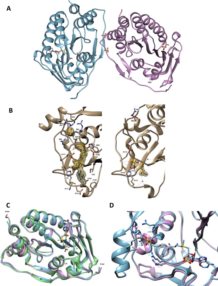 FIG 2