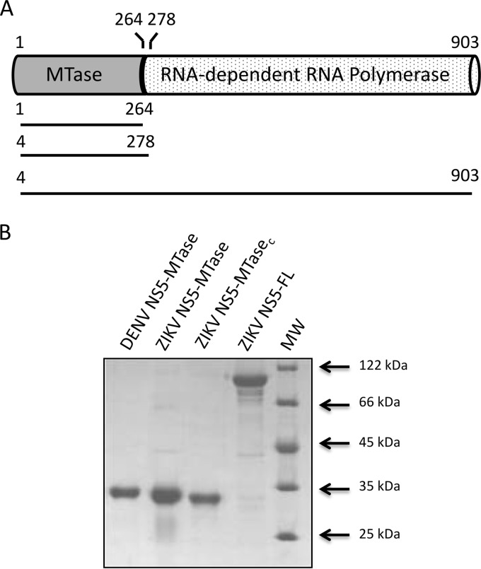 FIG 1