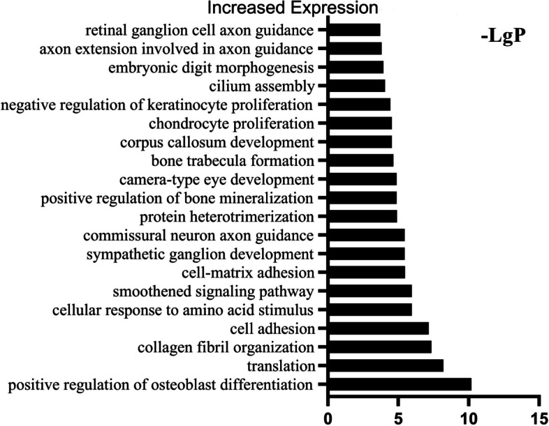 Fig. 7