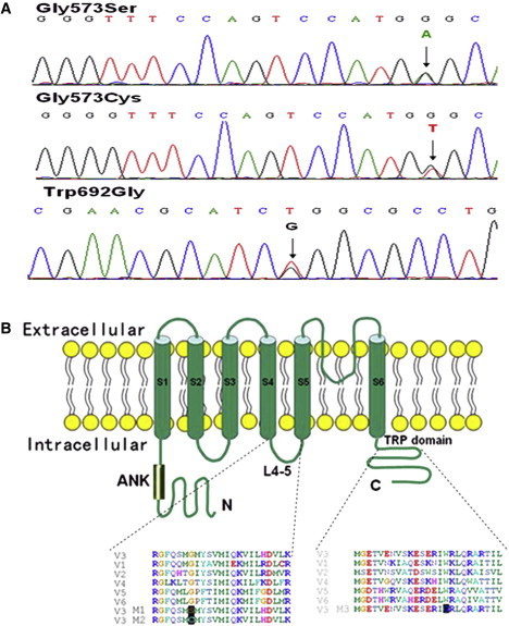 Figure 2