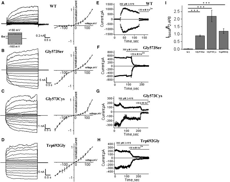 Figure 3