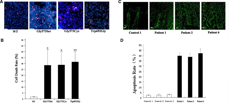 Figure 4