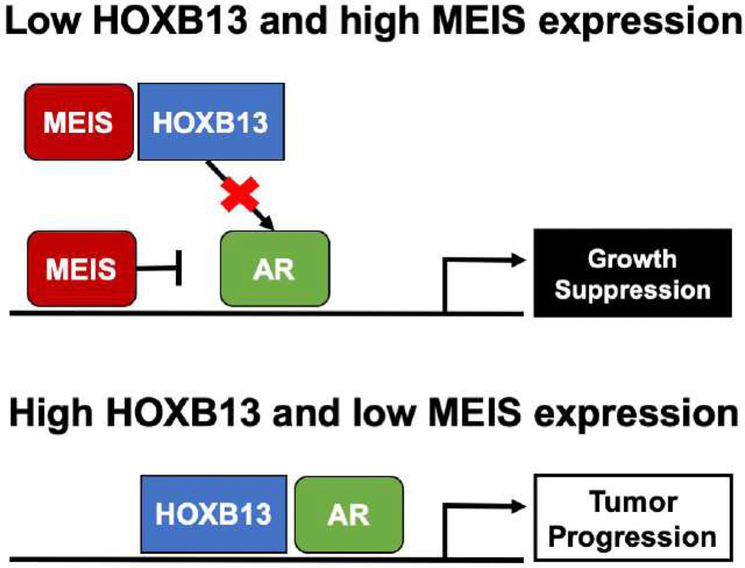 Fig. 2 –