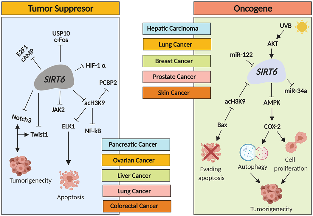 Figure 3: