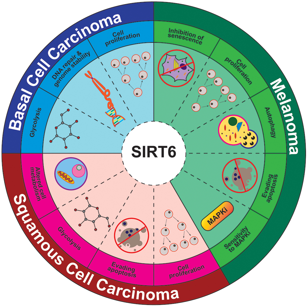 Figure 5: