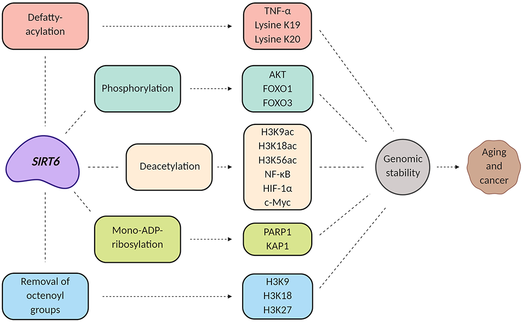 Figure 2: