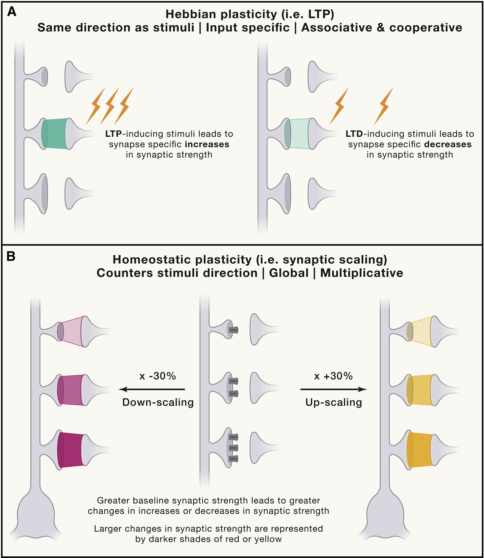 Figure 3: