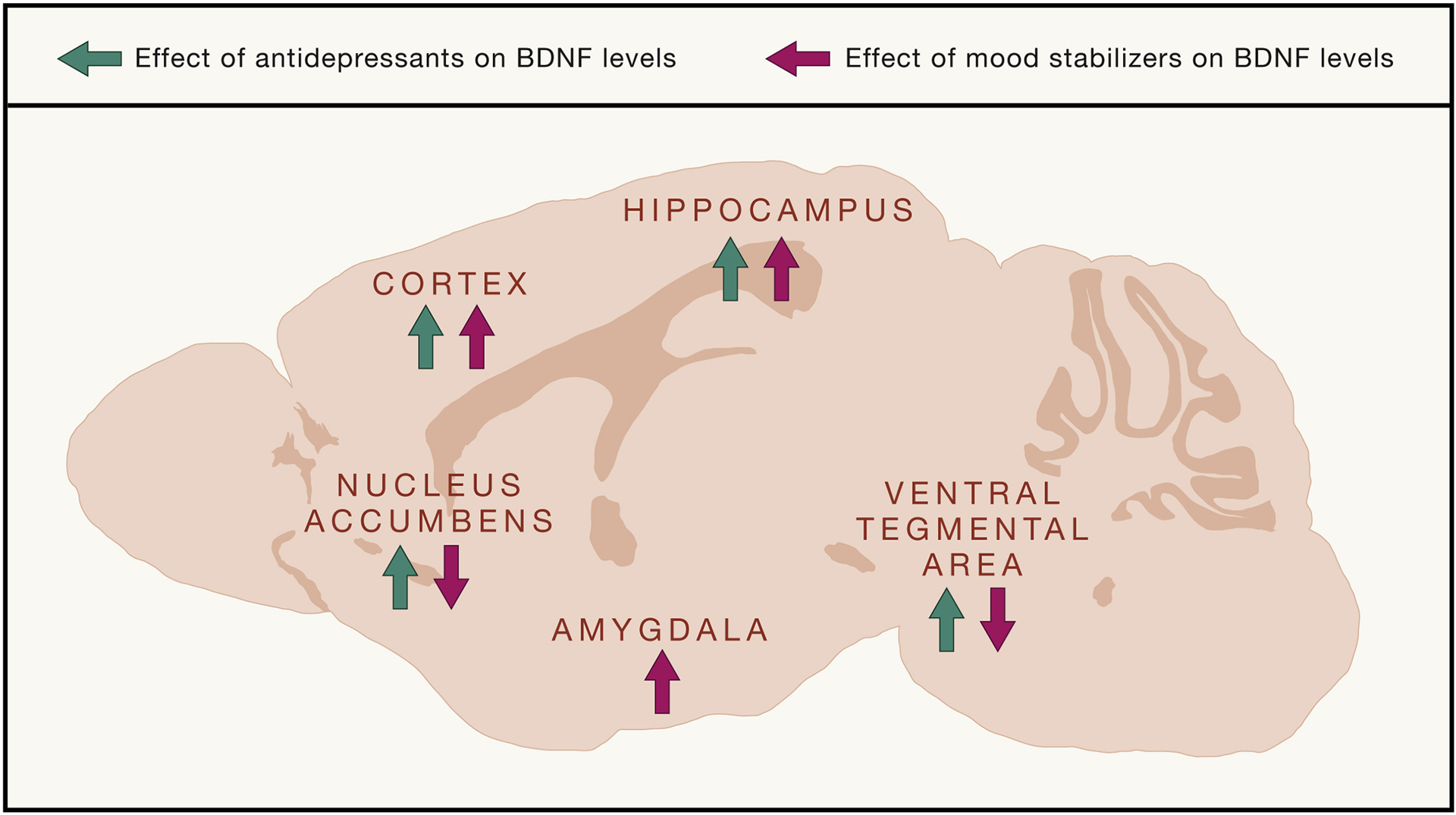 Figure 5: