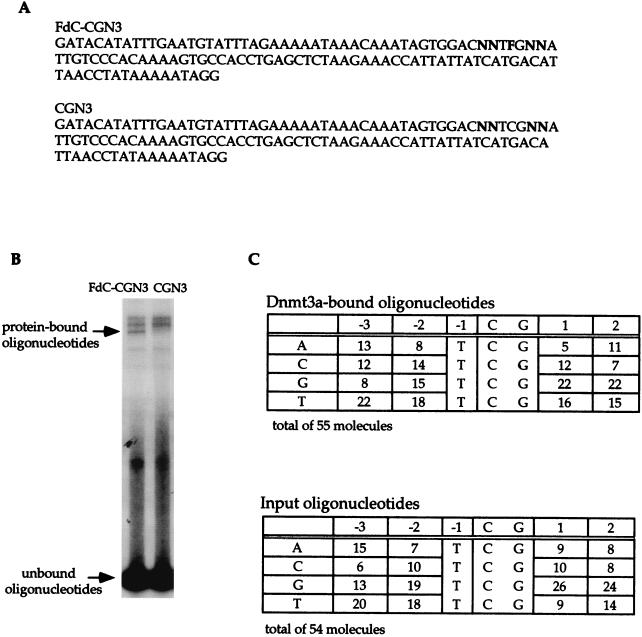 FIG. 8.