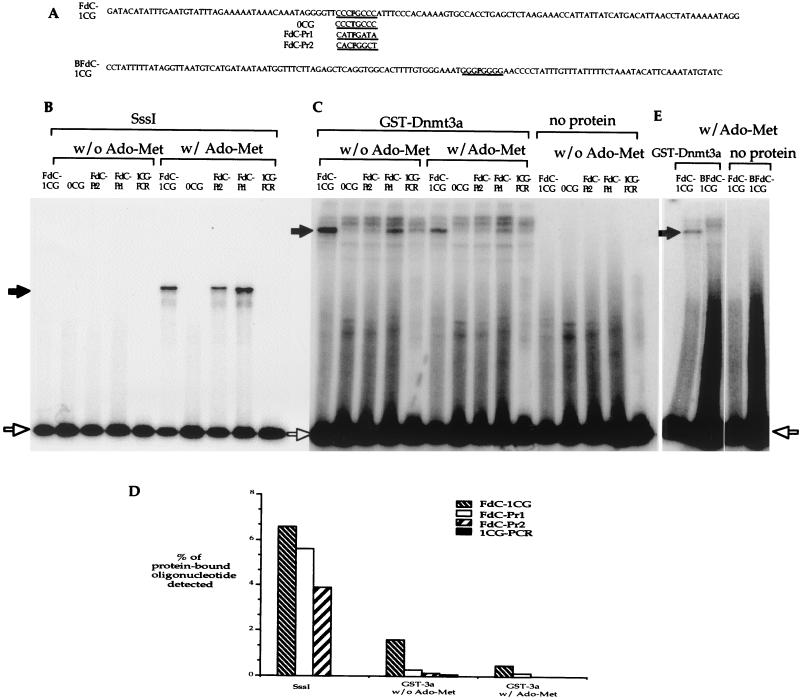 FIG. 9.