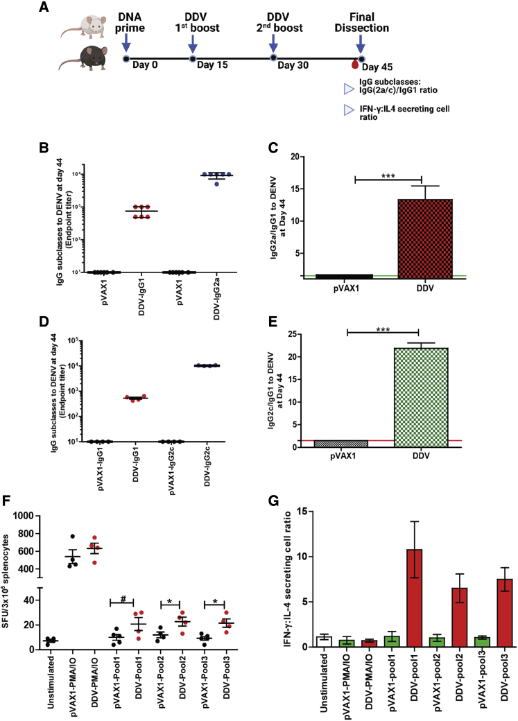 Figure 6