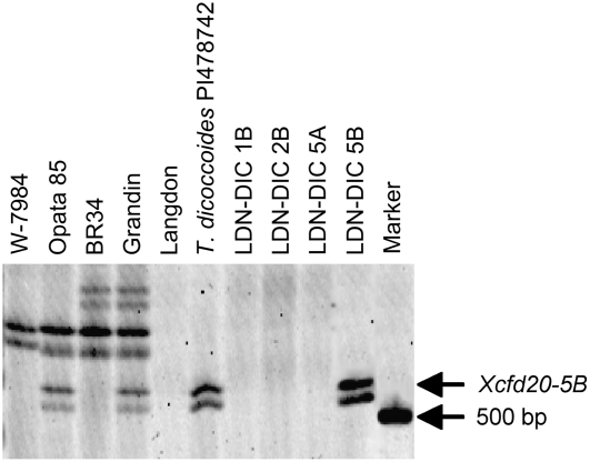 Figure 4.