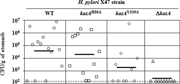 FIGURE 5.