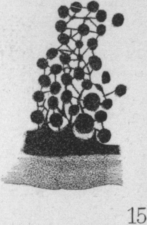 Fig. 15