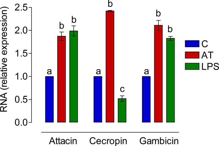 Fig 8