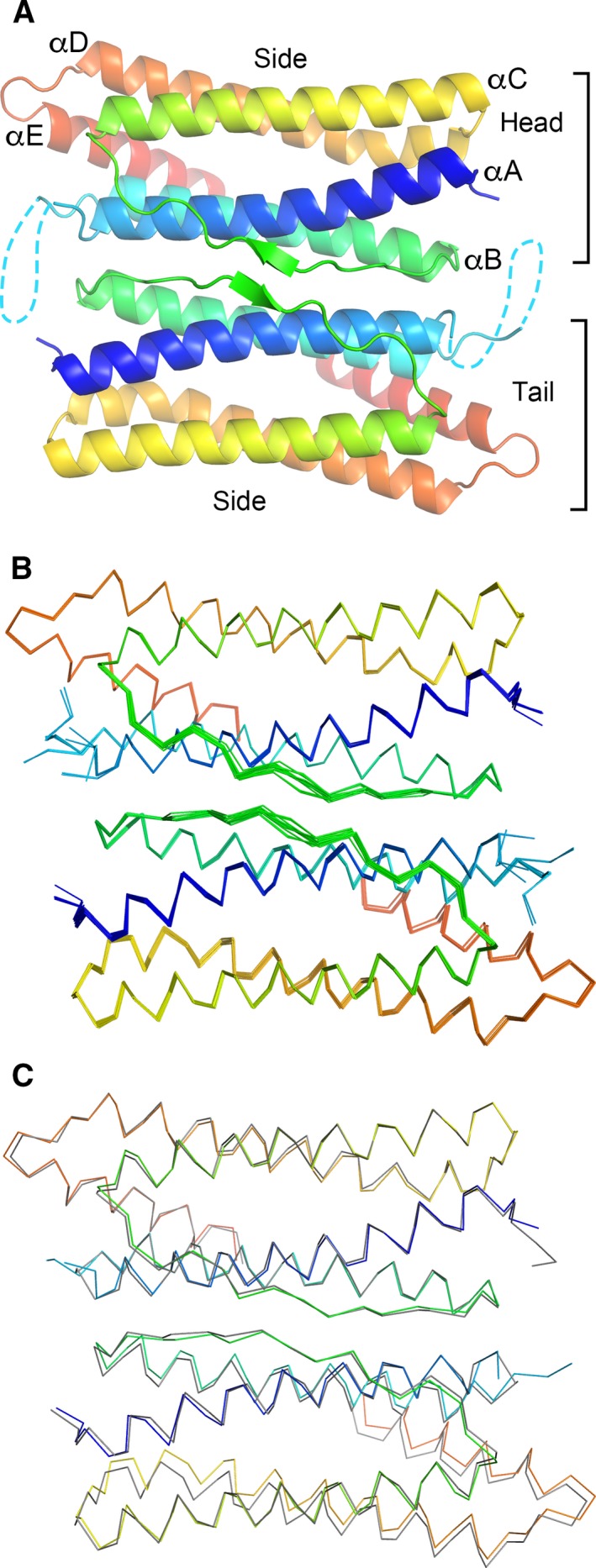 Figure 6