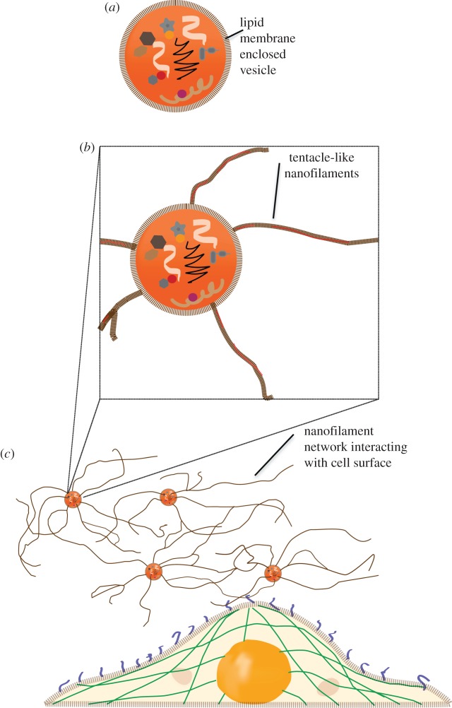 Figure 4.