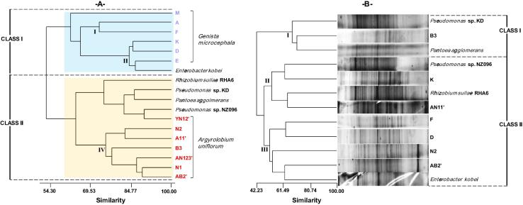 Fig.2