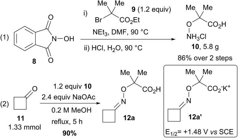 Scheme 3