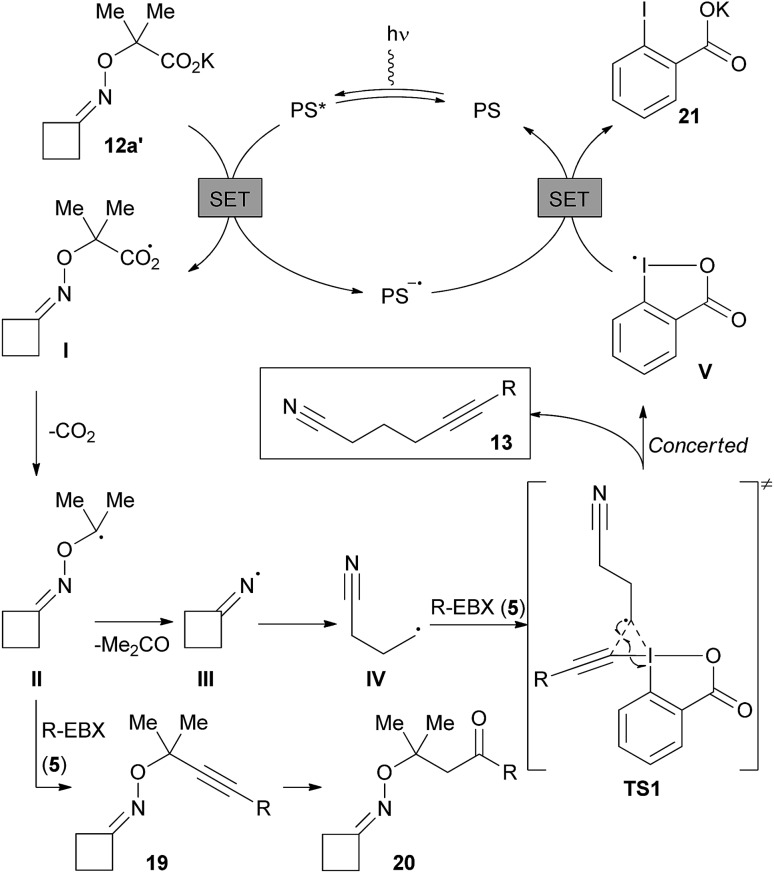 Scheme 7