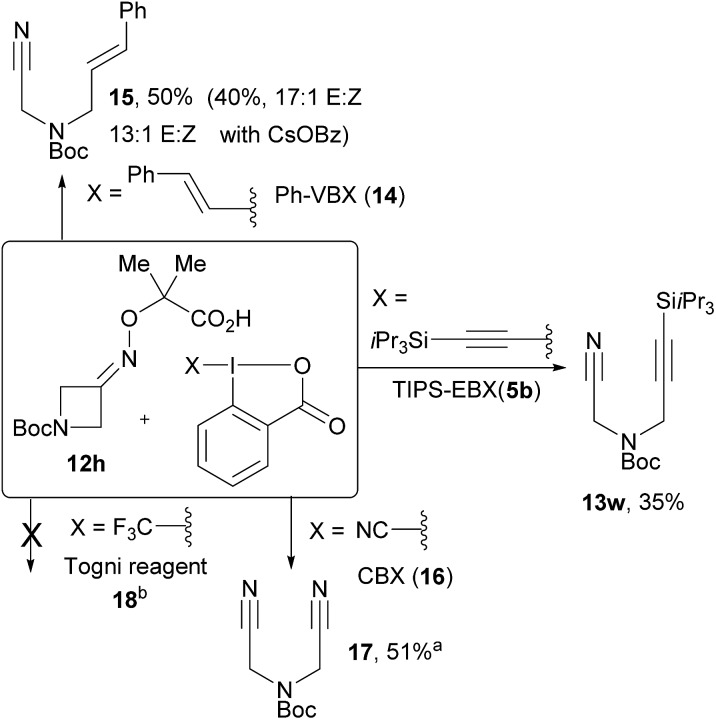 Scheme 5