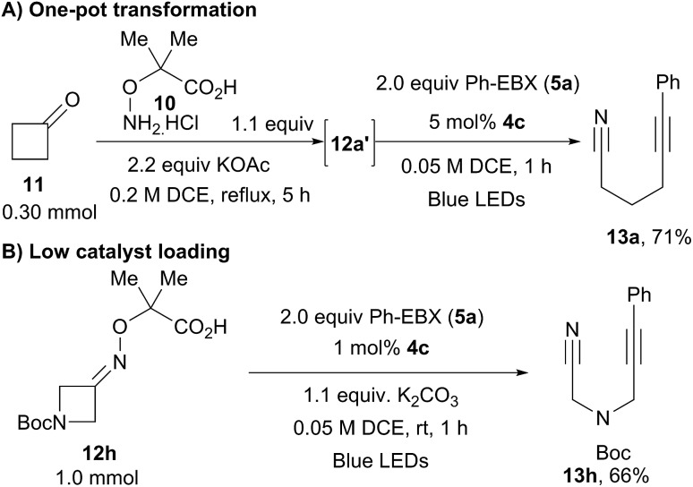 Scheme 6