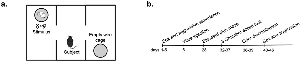 Figure 1 –