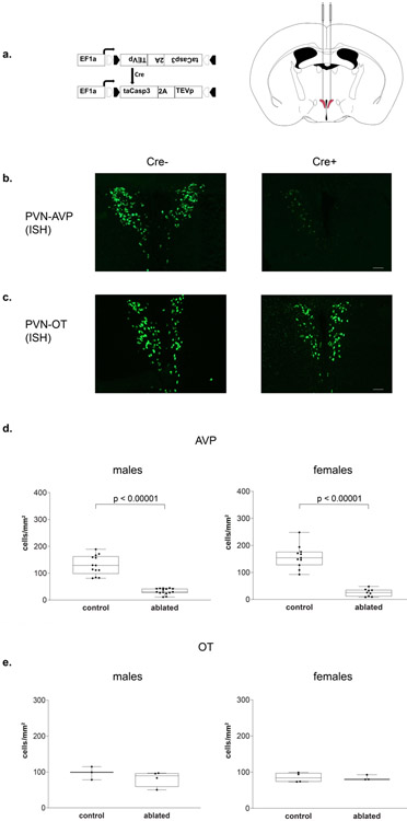 Figure 2 –