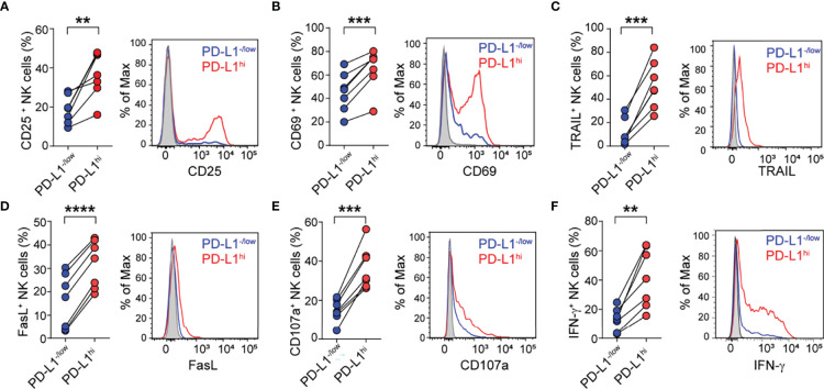 Figure 6