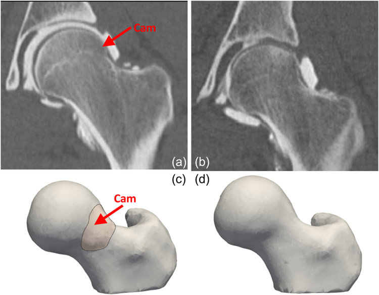 Fig. 5.