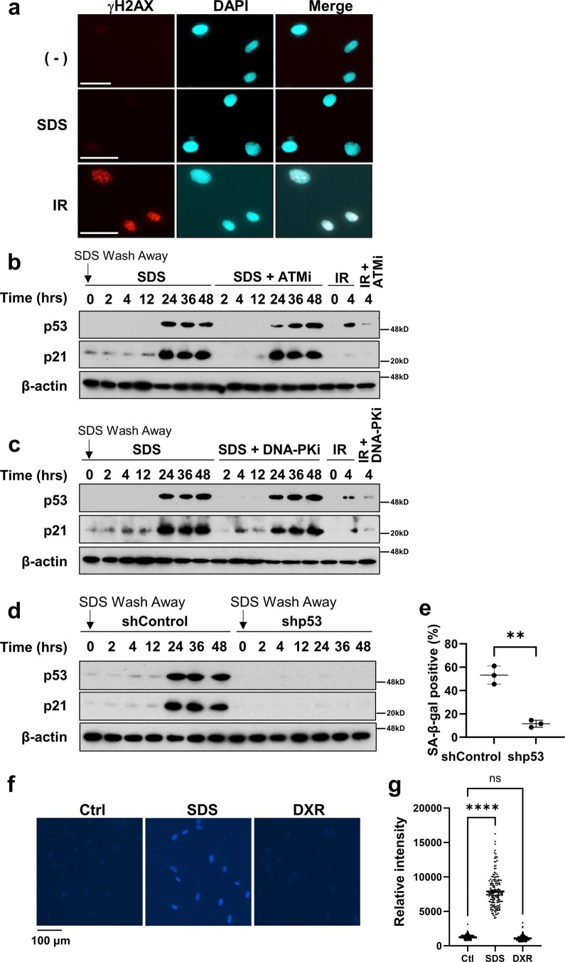 Extended Data Fig. 7