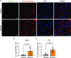 Figure 1—figure supplement 1.