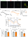 Figure 10.