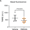 Figure 10—figure supplement 1.